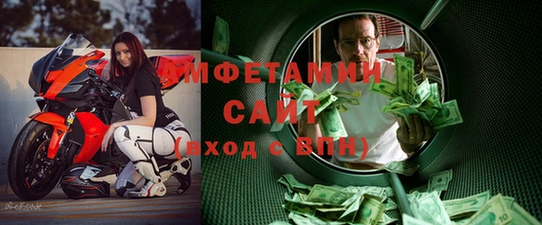 мет Алексин
