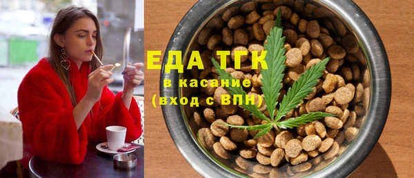 мет Алексин
