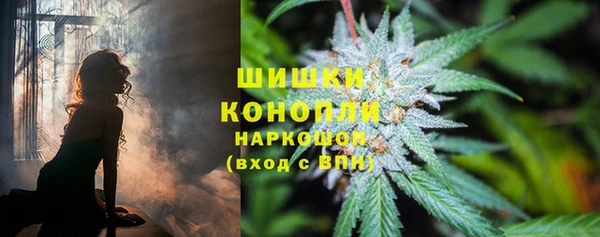 ГАЛЛЮЦИНОГЕННЫЕ ГРИБЫ Рославль